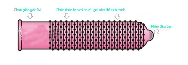  Shop bán Cao su kéo gai siêu kéo kéo dài thời gian hộp 9c hàng mới về