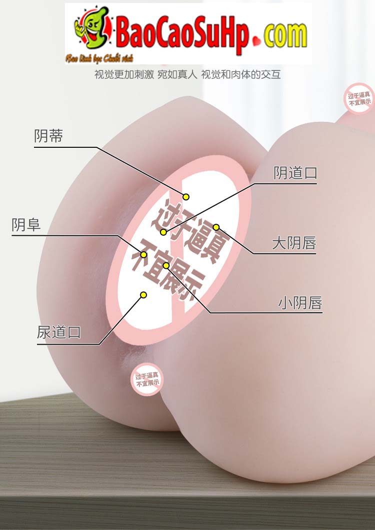 Búp bê tình dục bán thân siêu mềm Hime Sugihara Ayi giá tốt
