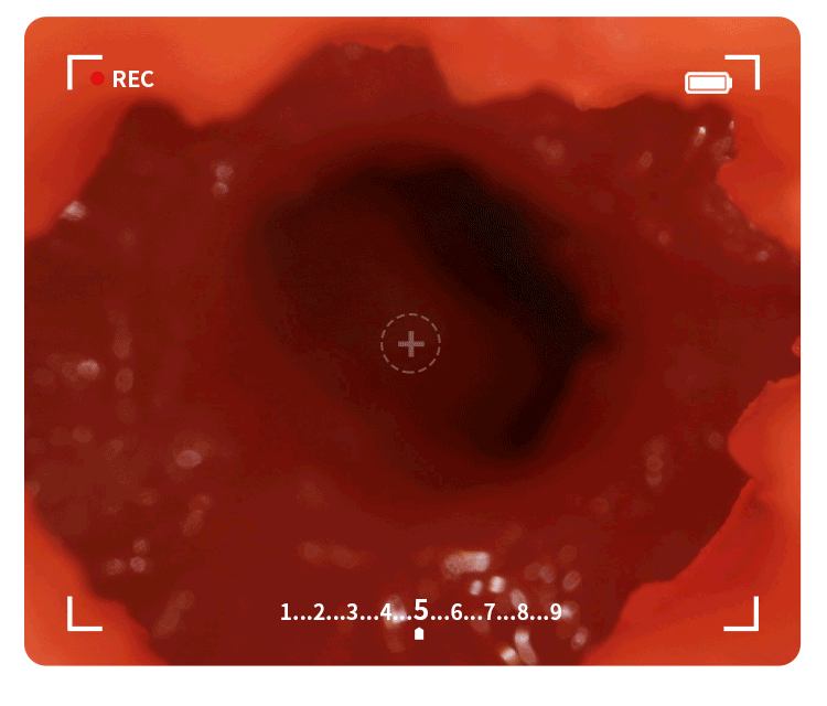 Búp bê bán thân ZZ040 Mokoto Nhật Bản khung xương thật, siêu mềm Búp bê bán thân ZZ040 Mokoto Nhật Bản khung xương thật, siêu mềm