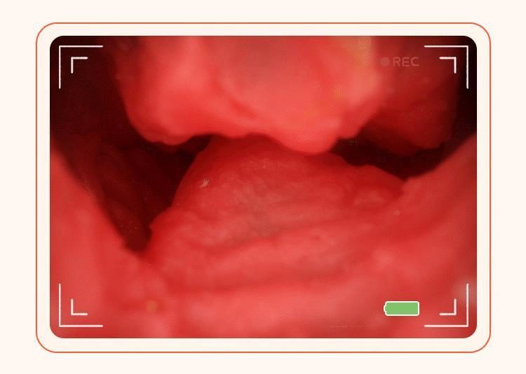 Búp bê bán thân RENDS Fukada Yongmei 4.5KG Nhật, Siêu Thật, Giá Tốt