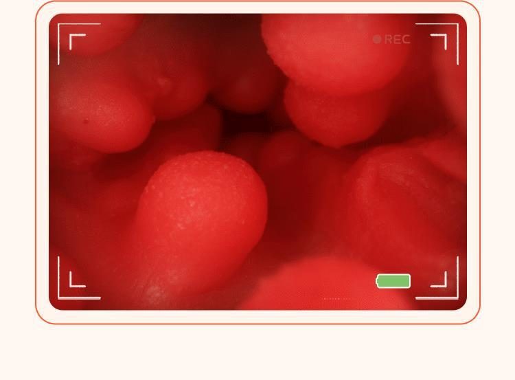 Búp bê bán thân RENDS Fukada Yongmei 4.5KG Nhật, Siêu Thật, Giá Tốt