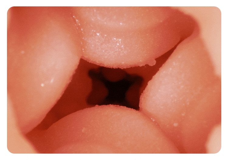 Búp bê tình dục bán thân Pyeong 15.2kg ngực to hông đầy hấp dẫn Búp bê tình dục bán thân Pyeong 15.2kg ngực to hông đầy hấp dẫn