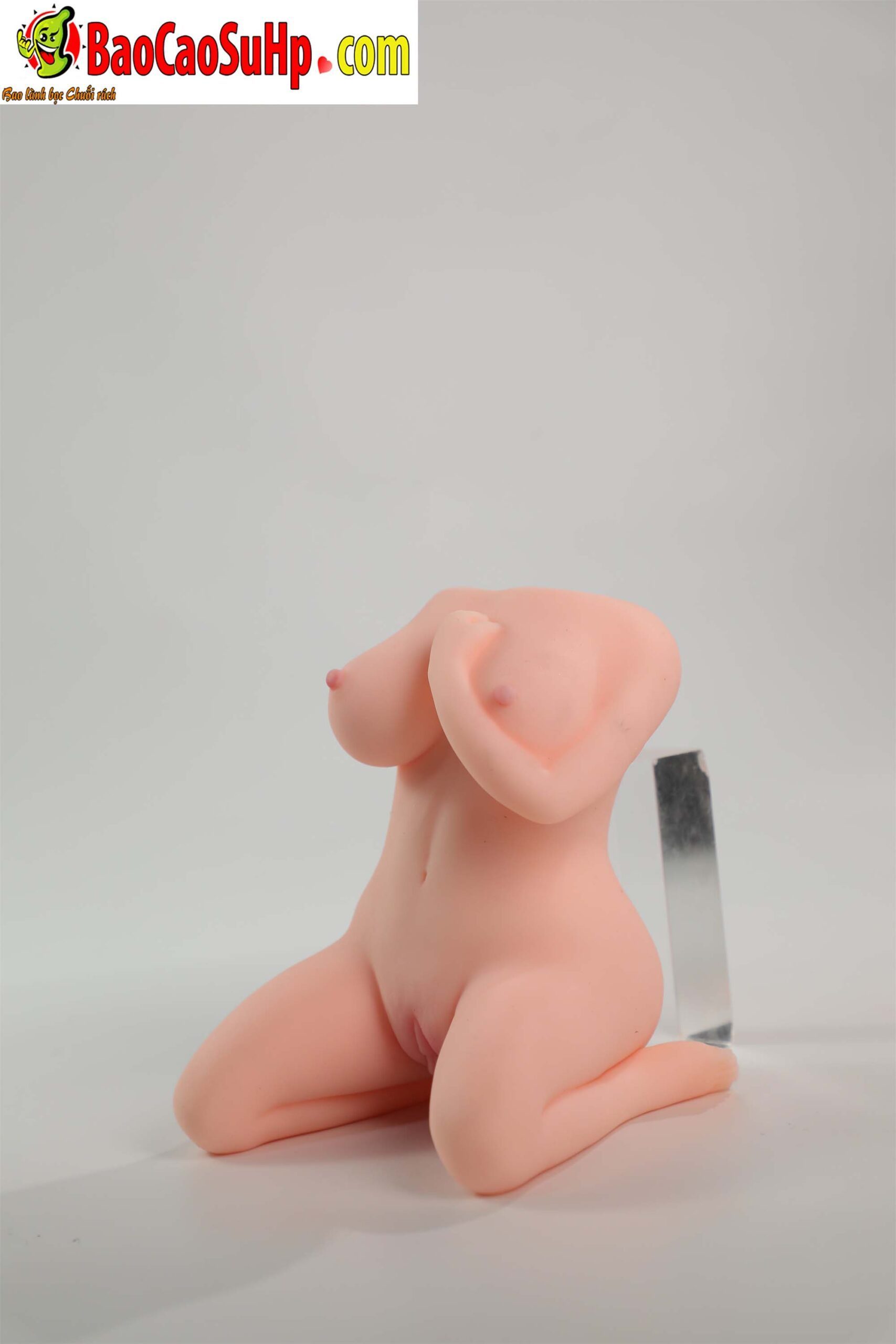 Búp bê cầm tay siêu thực Mizzzee Gaplay Ms Edwie Tử cung sống động