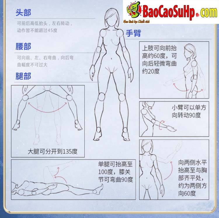 Búp bê tình dục điêu thuyền AMZ Mizzzee silicon 1m48 thật sống