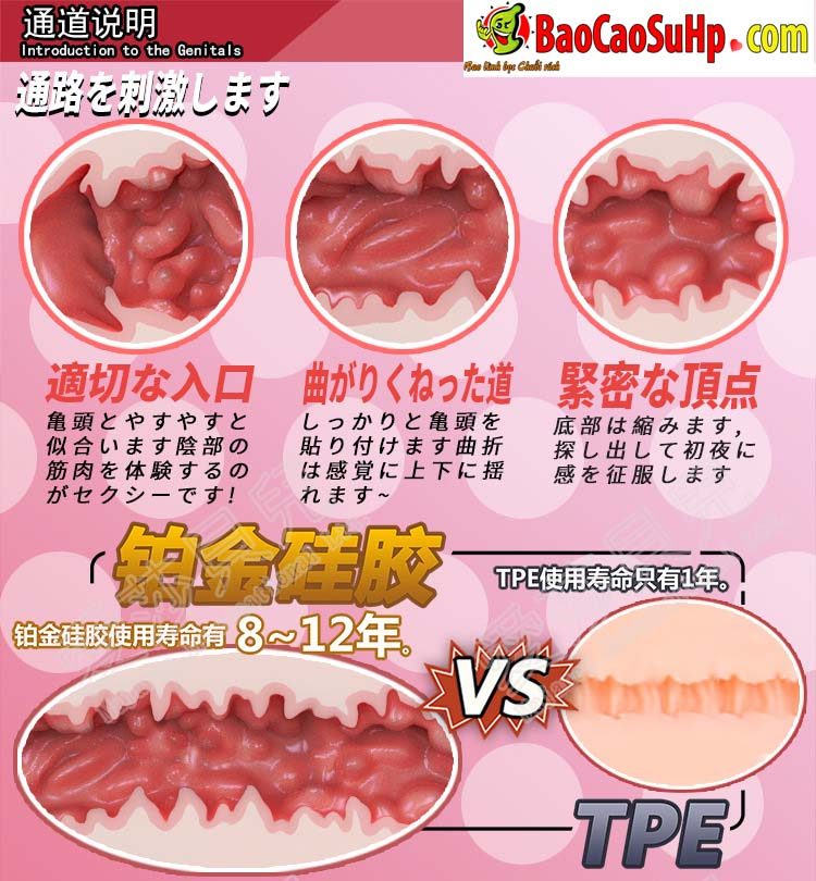 Búp bê Elsa babe Japan 1m65cm Sakai Kanako bản toàn thân chính hãng hấp dẫn