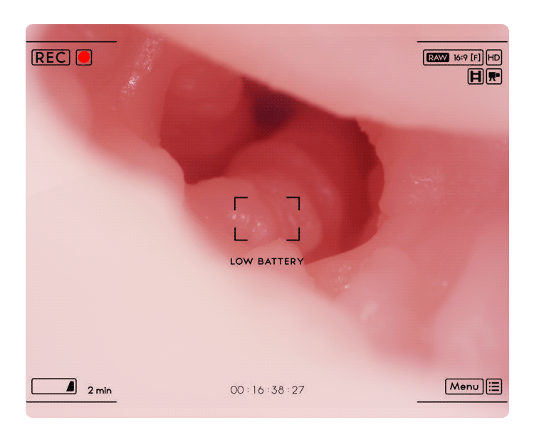 Búp bê bán thân Kanchana 7.2kg chân thực hấp dẫn mua ngay Búp bê bán thân Kanchana 7.2kg chân thực hấp dẫn mua ngay