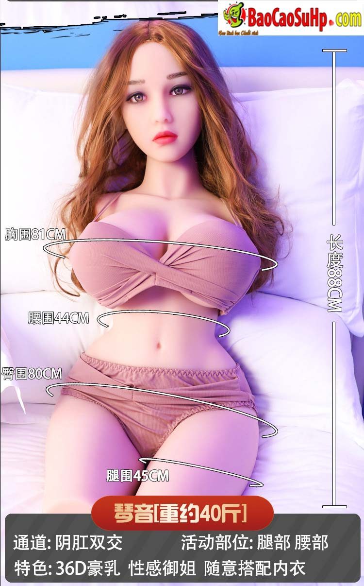 봄향기 하루카 반신 섹스돌 3종 세트 컬렉션