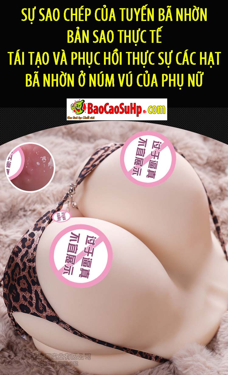  Bỏ sỉ Vếu giả nguyên khối mềm có túi ngực silicone 7kg Toysheart Japan Lynne tốt nhất
