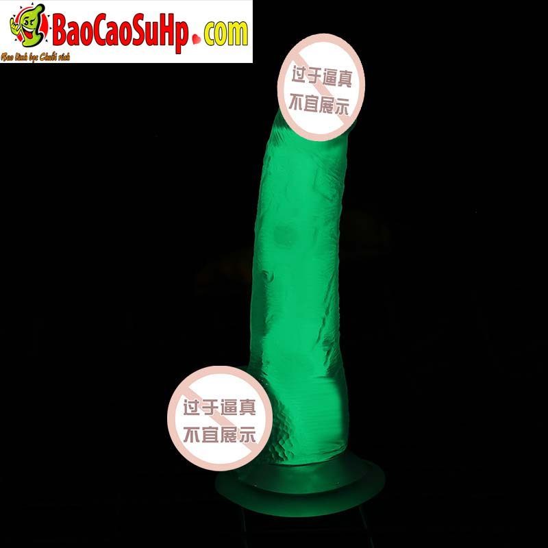 Dương Vật Giả Phát Sáng Đa Dục Didol Start Light Cao Cấp