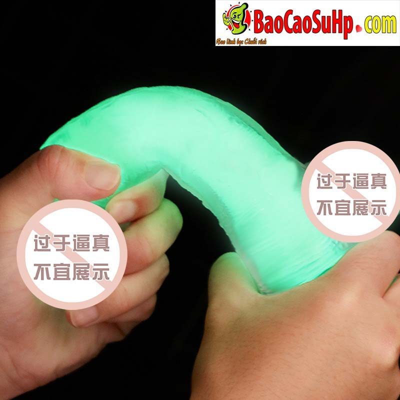 Dương Vật Giả Phát Sáng Đa Dục Didol Start Light Cao Cấp