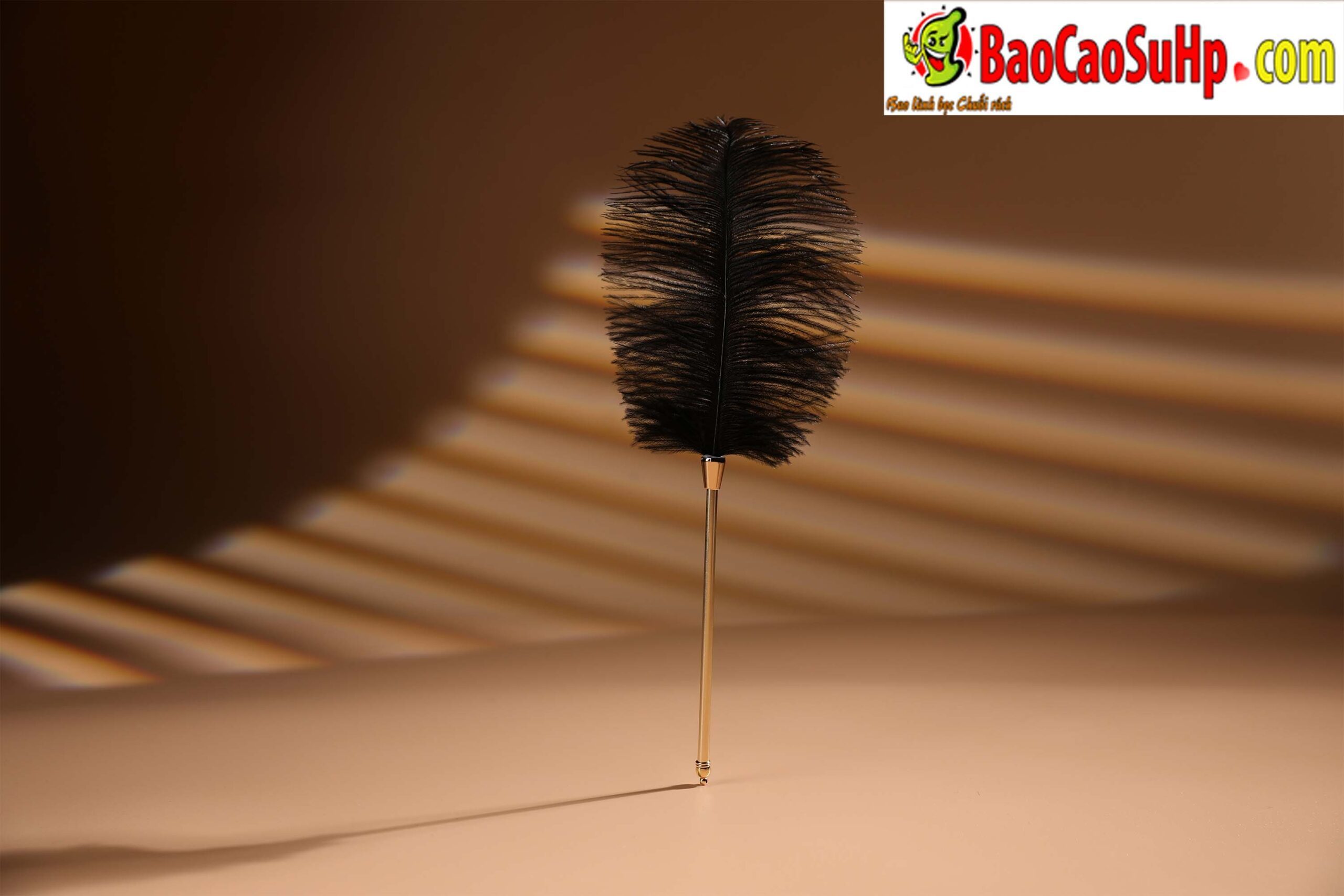 Bộ BDSM Mizzzee 12 món Start Bundle độc đáo phong cách trẻ trung