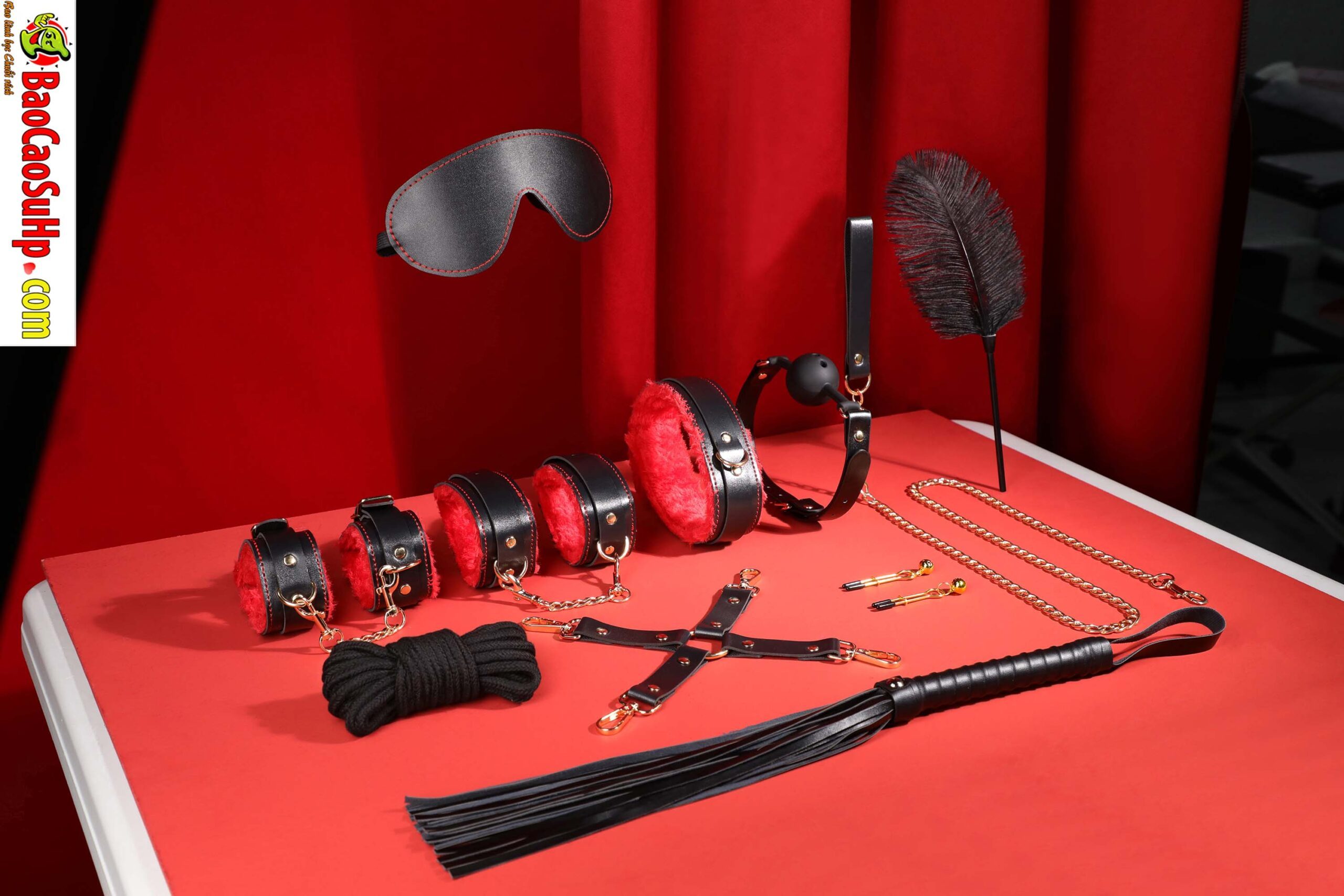 Bộ đồ chơi BDSM Mizzzee BIN002 10 món sang trọng sắc đỏ đen