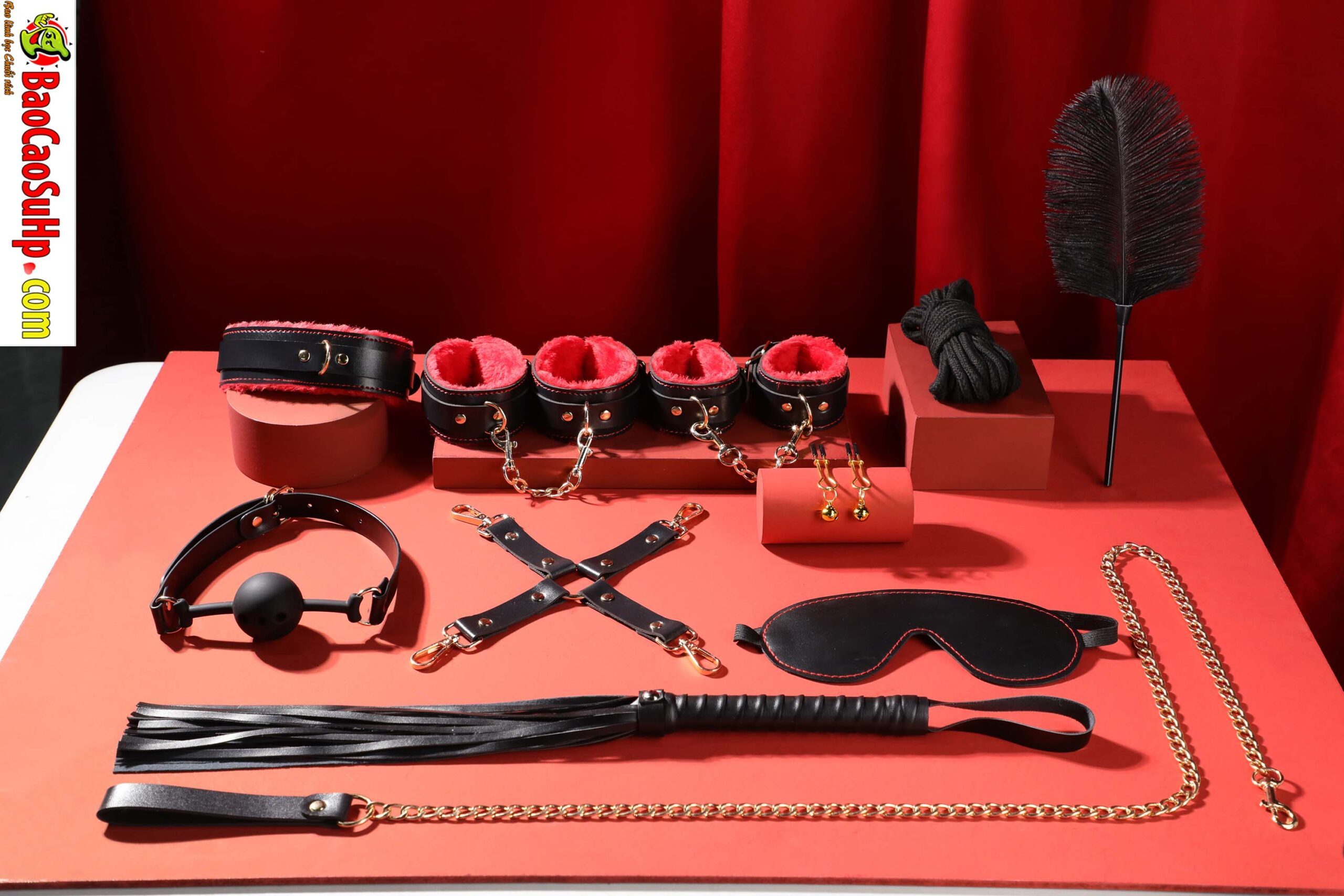 Bộ đồ chơi BDSM Mizzzee BIN002 10 món sang trọng sắc đỏ đen