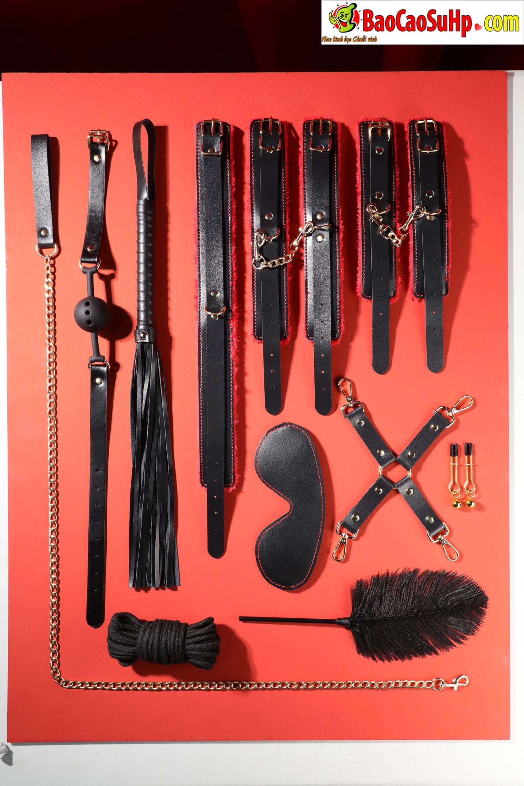 Bộ đồ chơi BDSM Mizzzee BIN002 10 món sang trọng sắc đỏ đen