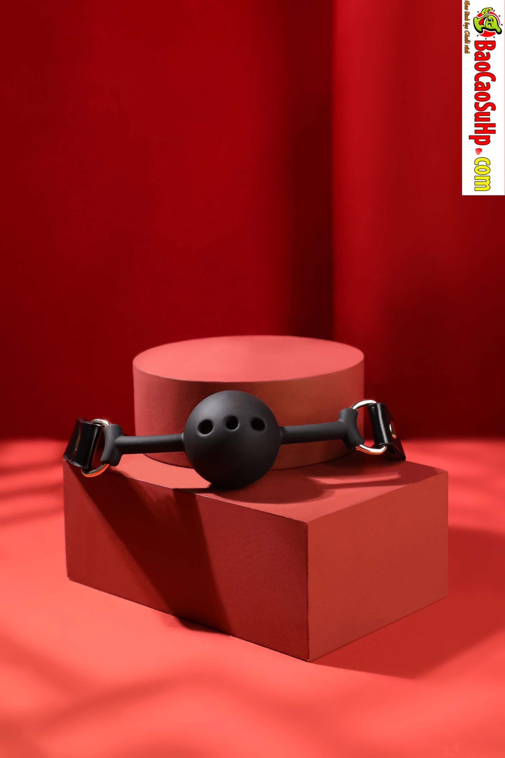 Bộ đồ chơi BDSM Mizzzee BIN002 10 món sang trọng sắc đỏ đen