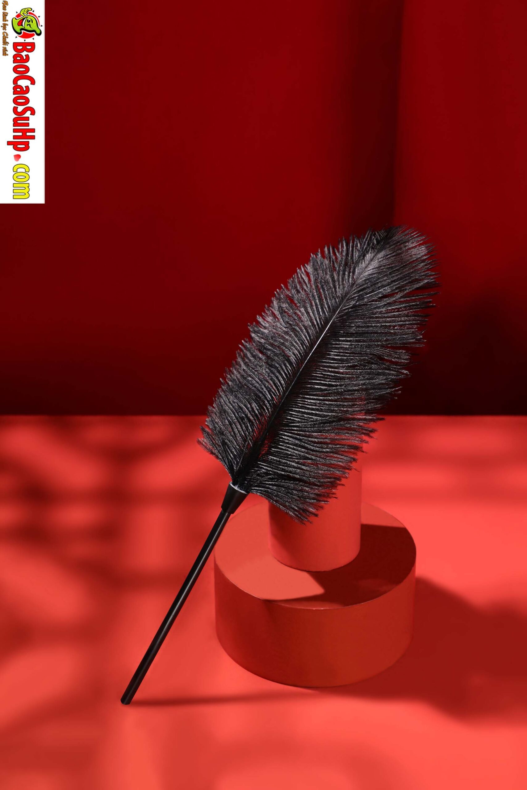 Bộ đồ chơi BDSM Mizzzee BIN002 10 món sang trọng sắc đỏ đen