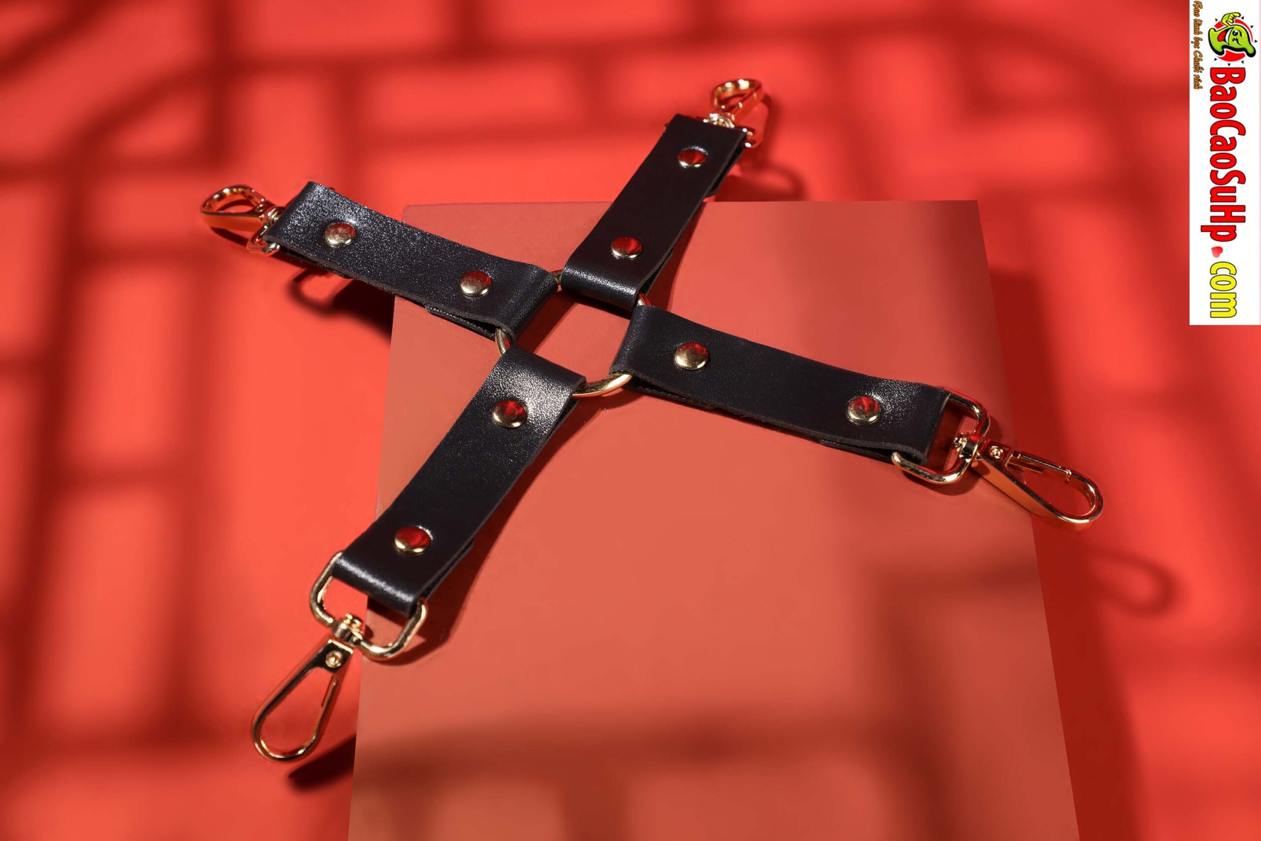 Bộ đồ chơi BDSM Mizzzee BIN002 10 món sang trọng sắc đỏ đen