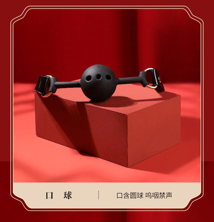 Bộ đồ chơi BDSM Mizzzee BIN002 10 món sang trọng sắc đỏ đen