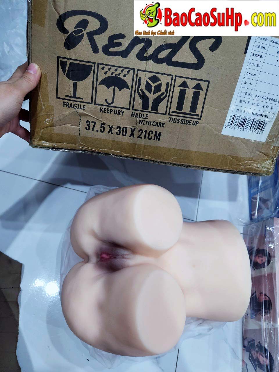 Mông giả nguyên khối REND Nhật Bản Aoi Reina Idol Siêu thực 7kg