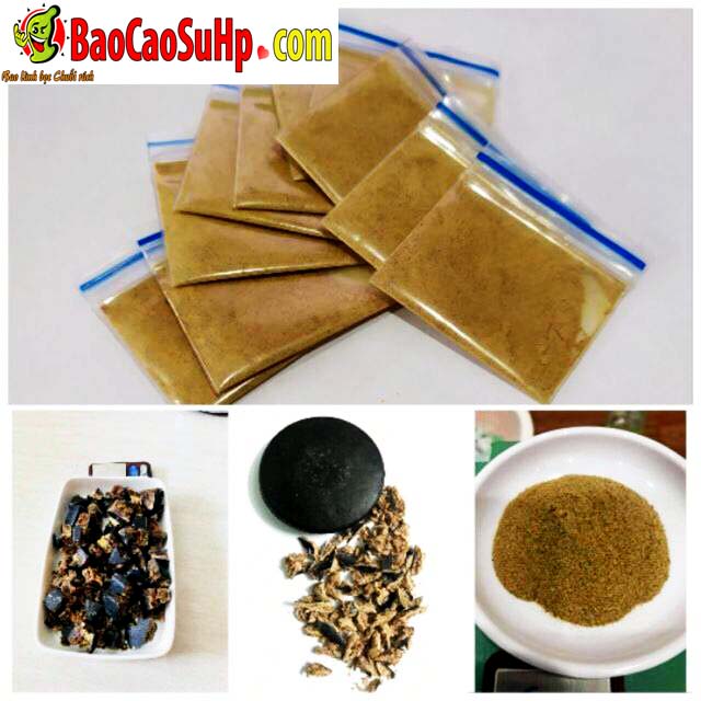 Sìn sú Tây Nguyên Hải Phòng tăng cường sinh lý thảo dược chuẩn Sìn sú Tây Nguyên Hải Phòng tăng cường sinh lý thảo dược chuẩn