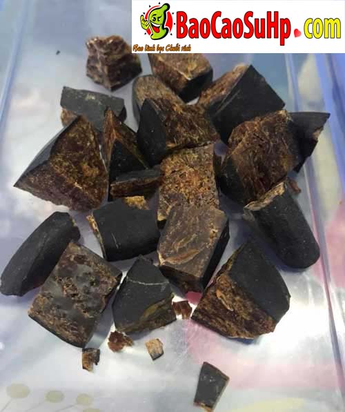Bán Sìn sú tây nguyên tại Hải Phòng cường dương hiệu quả 100% thảo dược mới nhất Bán Sìn sú tây nguyên tại Hải Phòng cường dương hiệu quả 100% thảo dược mới nhất