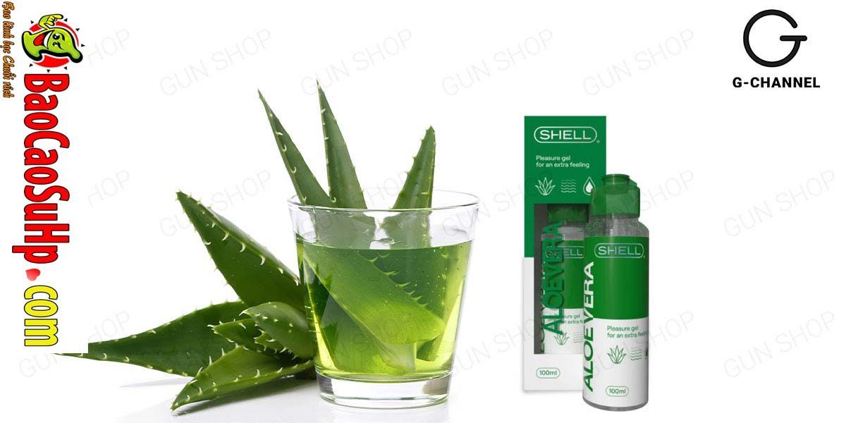 Gel bôi trơn Shell Aloe Vera 100ml mát dịu dưỡng ẩm cao cấp