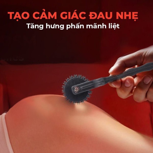 Cây Cọ Lăn Siêu Gai Prickly Pinwheel Kích Thích Cảm Giác Mạnh
