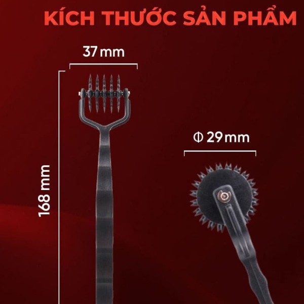 Cây Cọ Lăn Siêu Gai Prickly Pinwheel Kích Thích Cảm Giác Mạnh