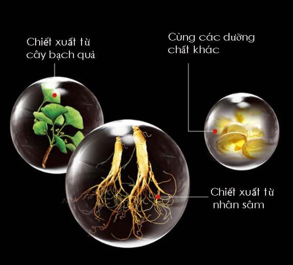  Bán Kem Bôi Giúp Cương Cứng Và Làm To Dương Vật - Pjur man Xtend Hàng Đức tốt nhất
