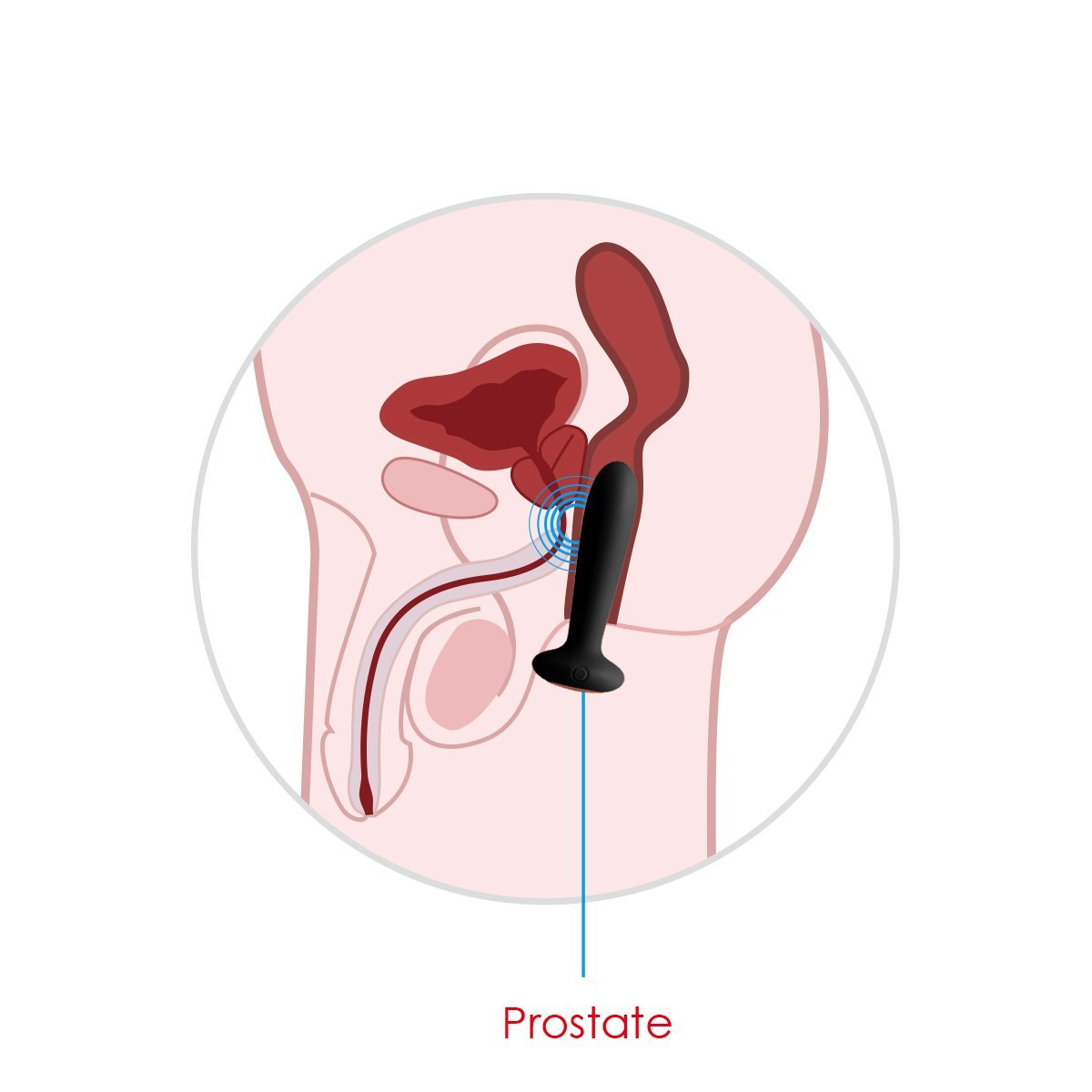 SVAKOM Primo hậu môn sưởi ấm cao cấp đồ chơi kích thích bán chạy