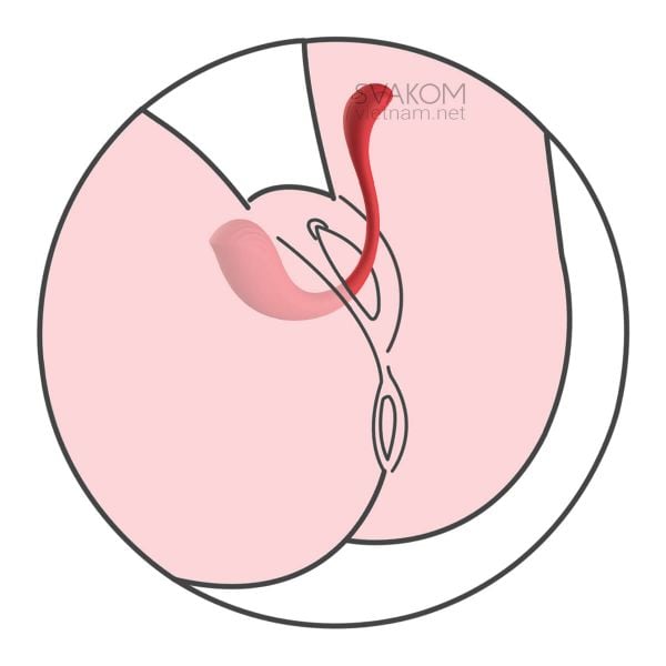 SVAKOM Phoenix Neo Điều khiển App Thông Minh Tình Yêu Đỉnh Cao SVAKOM Phoenix Neo Điều khiển App Thông Minh Tình Yêu Đỉnh Cao