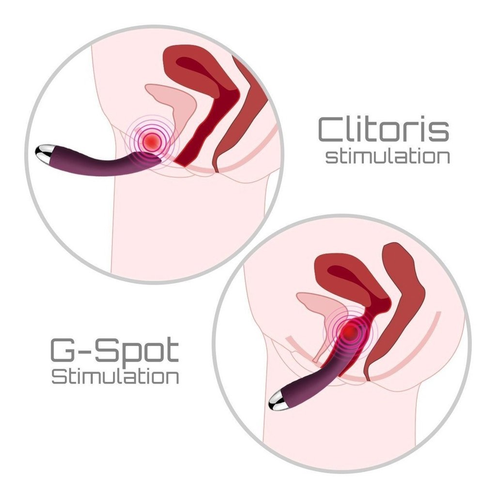 SVAKOM Amy dương vật giả rung 1 nhánh cao cấp tăng khoái cảm