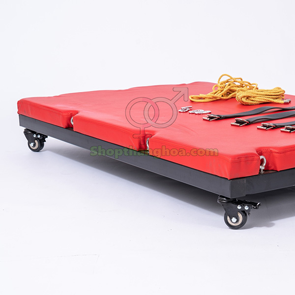 Dụng Cụ Cố Định GSM033 51 Chống Trừng Phạt SM An Toàn