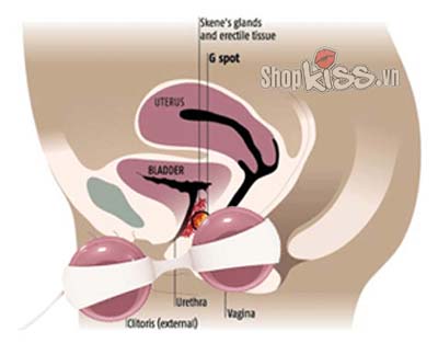 Hạt Luna silicon dụng cụ tập âm đạo se khít an toàn hiệu quả Hạt Luna silicon dụng cụ tập âm đạo se khít an toàn hiệu quả