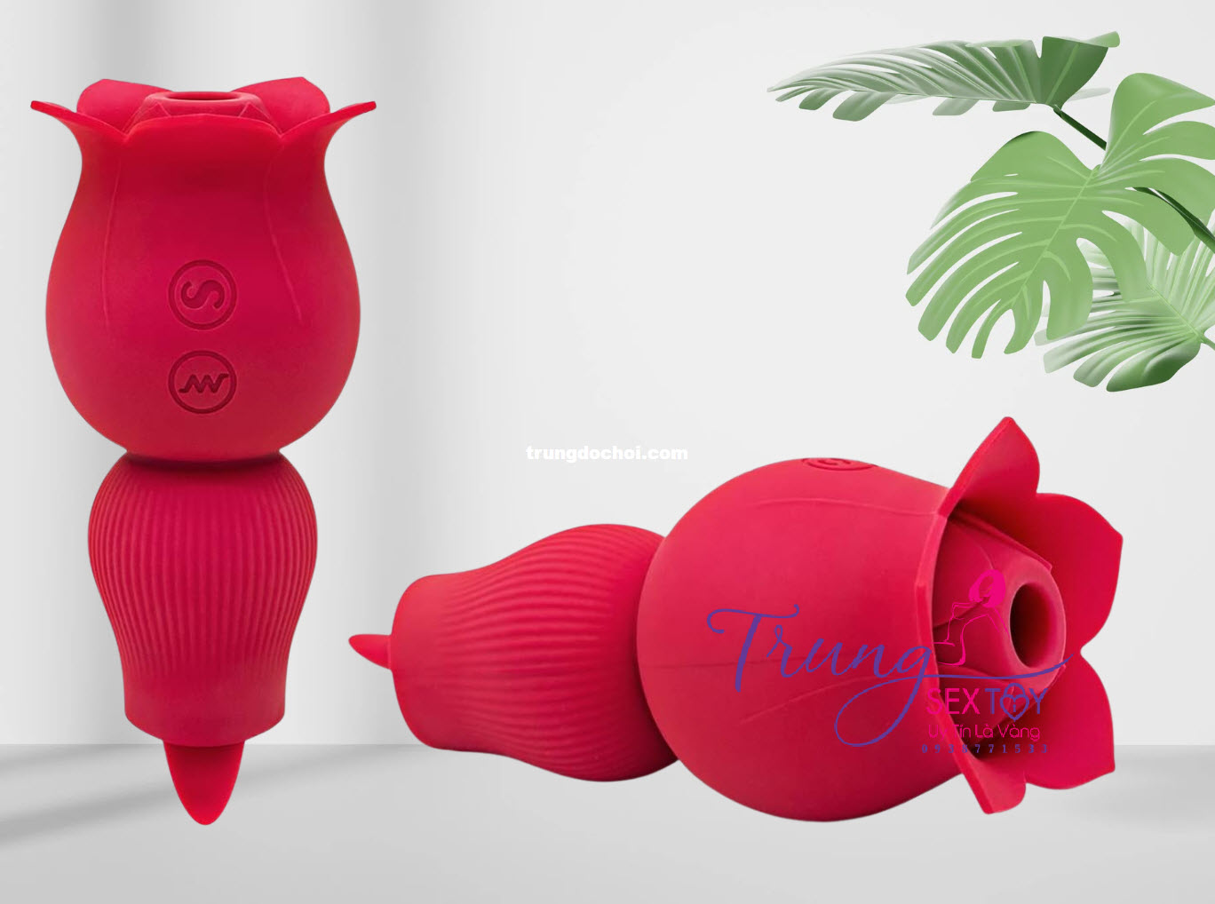 Bông Hồng Bú Liếm Vùng Kín Mềm Mại Kích Dục Tình Nhân