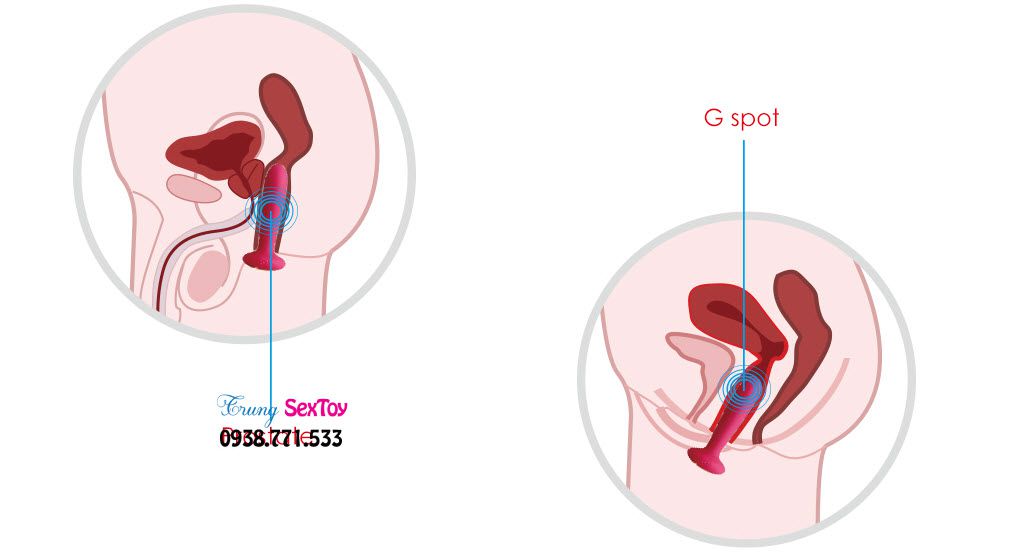 Svakom Primo Rung Tình Yêu Kích Thích Mua Ngay Giảm Giá
