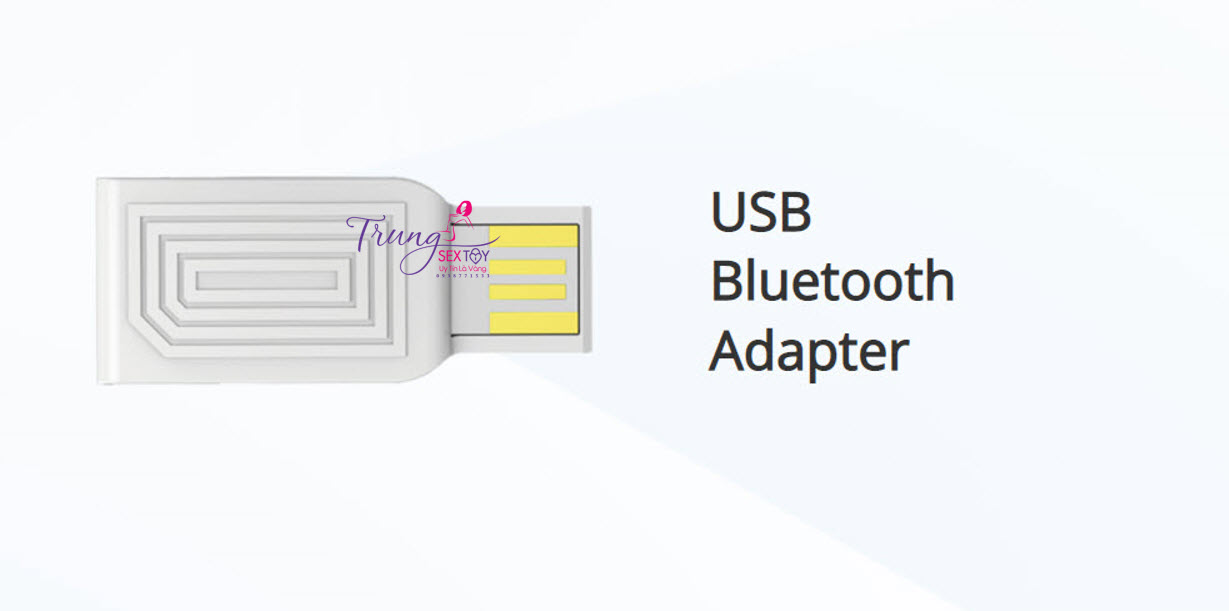  Đánh giá Lovense USB bluetooth adapter - Giúp kết nối đồ chơi Lovense với PC chạy Windows 1 cách dễ dàng  hàng mới về