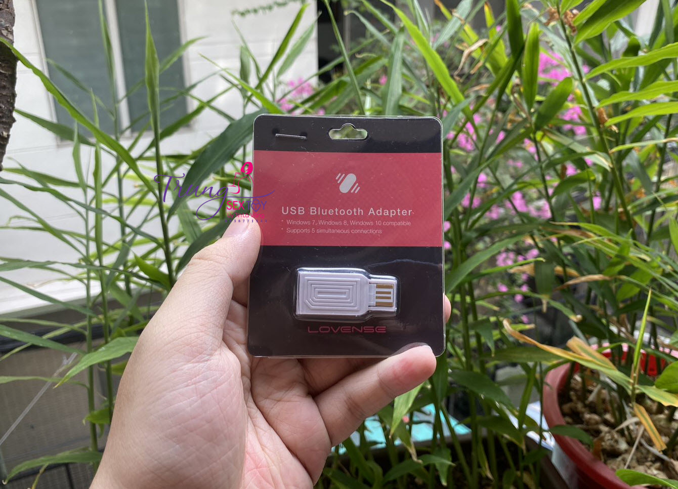  Đánh giá Lovense USB bluetooth adapter - Giúp kết nối đồ chơi Lovense với PC chạy Windows 1 cách dễ dàng  hàng mới về