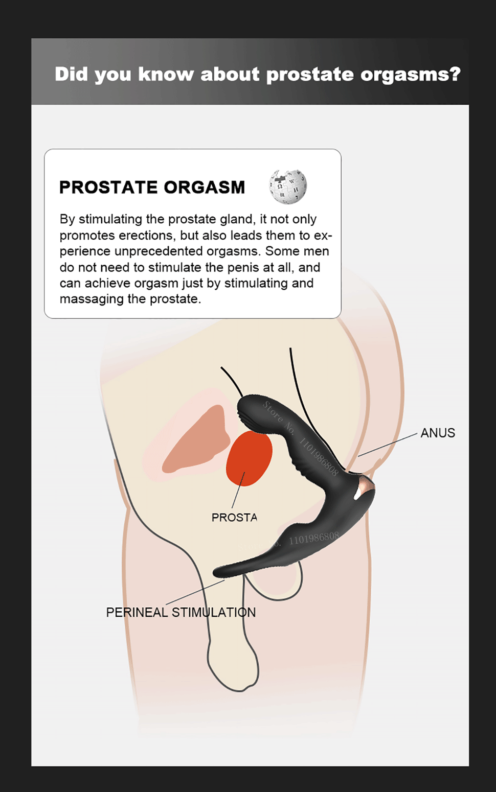 Dụng Cụ Massage Hậu Môn LILO STEVE 2 Đầu Rung APP Kích Thích