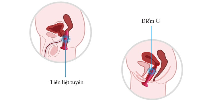 Máy Massage Svakom Primo DC90T sưởi ấm điểm G hậu môn Máy Massage Svakom Primo DC90T sưởi ấm điểm G hậu môn