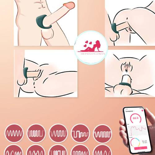 Vòng rung Magic Dante II cao cấp điều khiển app cho nam DC71Q giá tốt