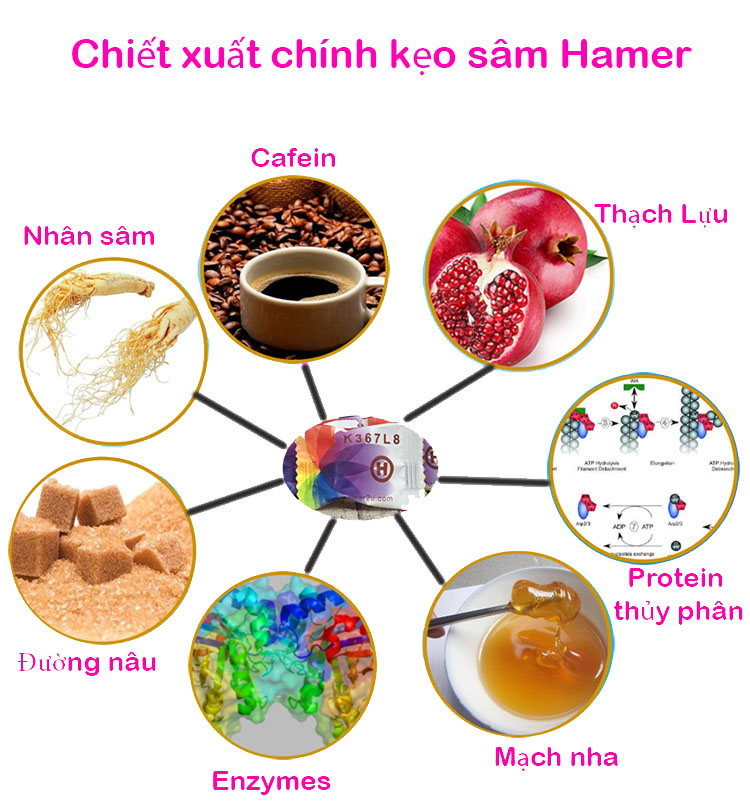 Kẹo Sâm Hamer Malaysia Tăng Cường Sinh Lý Nam 32 Viên