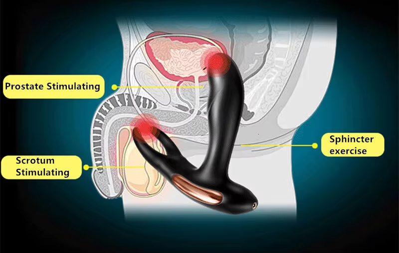 Dụng Cụ Massage Tuyến Tiền Liệt Nóng Lạnh Cực Phê