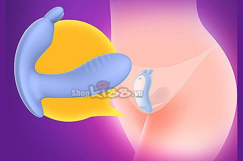 Dương vật mini tai thỏ điều khiển xa mát xa điểm G kích dục