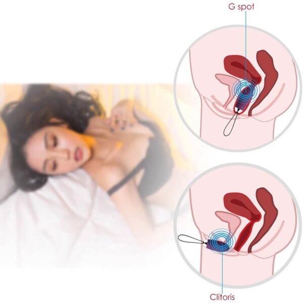 Trứng Rung Svakom Elmer Cao Cấp Điều Khiển Từ Xa Sang Trọng