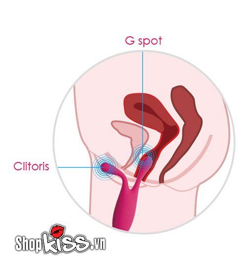 Máy Rung Massage Svakom Marin Cao Cấp Cho Nữ Chính Hãng
