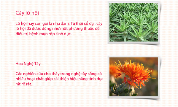 Gel Se Khít Âm Đạo EROS Gìn Giữ Thanh Xuân Hỗ Trợ Sinh Lý Nữ