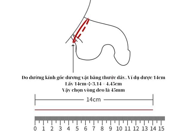 Vòng Inox Cao Cấp Tăng Khoái Cảm Bền Bỉ Dụng Cụ Nam