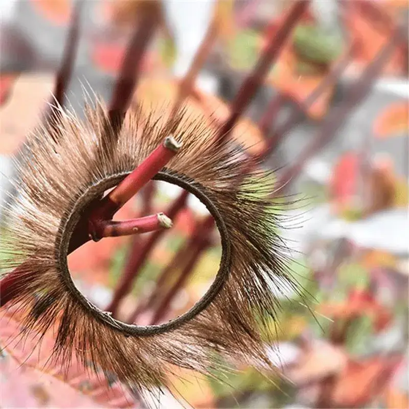 Vòng lông cừu DC60A cho nam chống xuất tinh sớm tăng khoái cảm