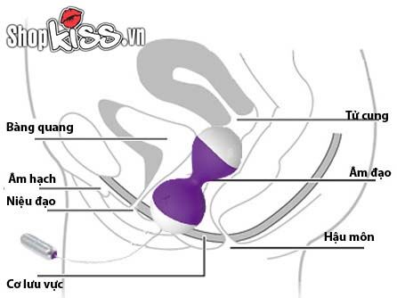  Bán Trứng rung mát xa điểm G Miu Miu – Điều khiển từ xa mới nhất